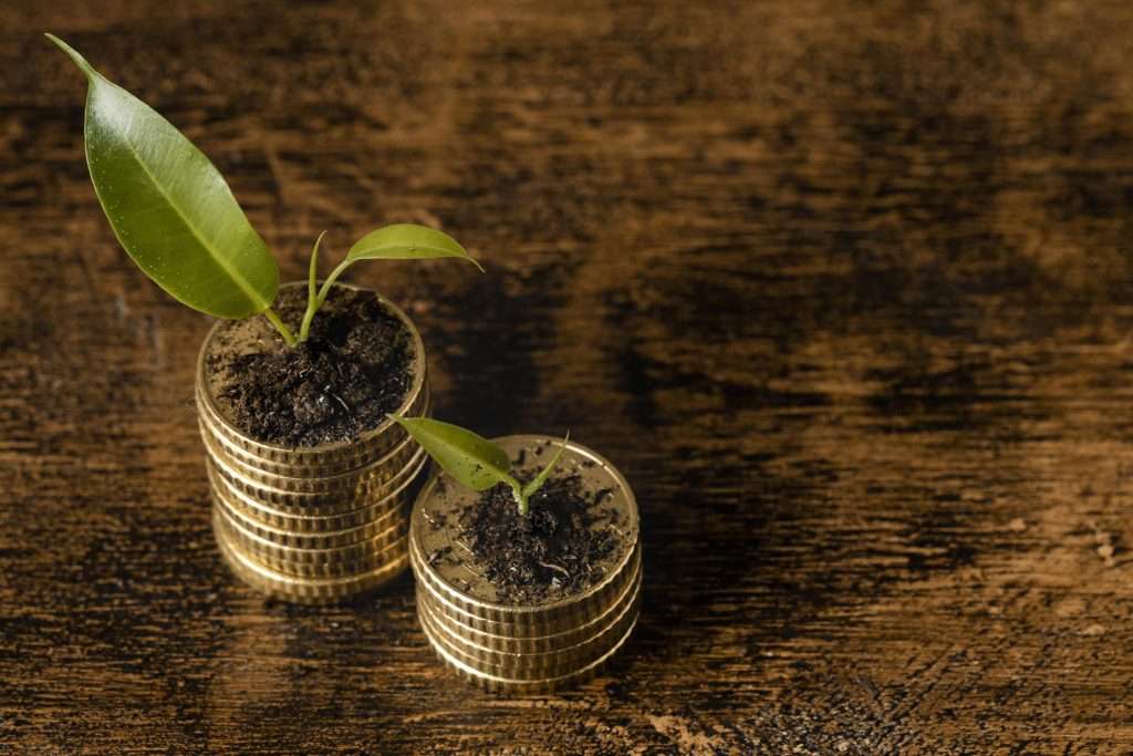 high-angle-two-stacks-coins-with-plants-copy-space